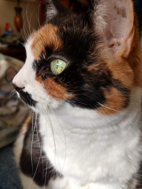 img_20190318_165114013_hdr