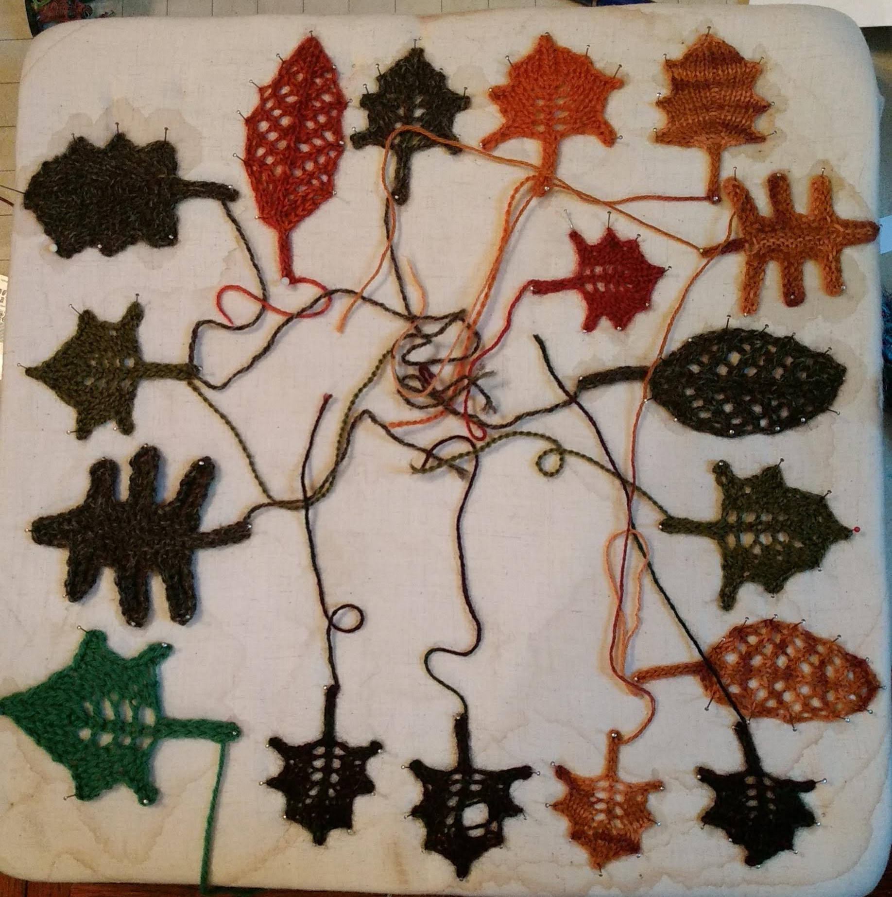 img_20191004_080249924