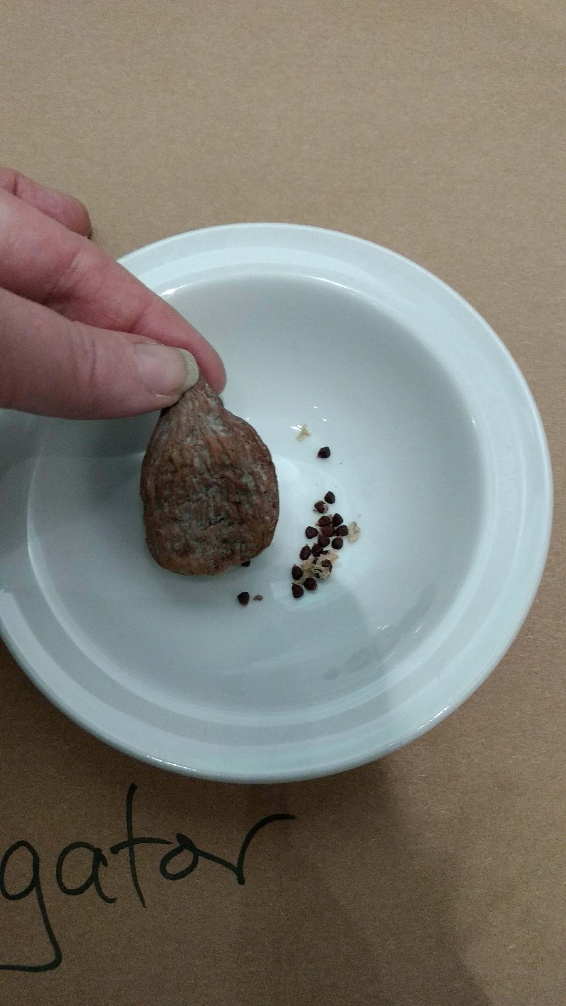 img_20200204_170239349