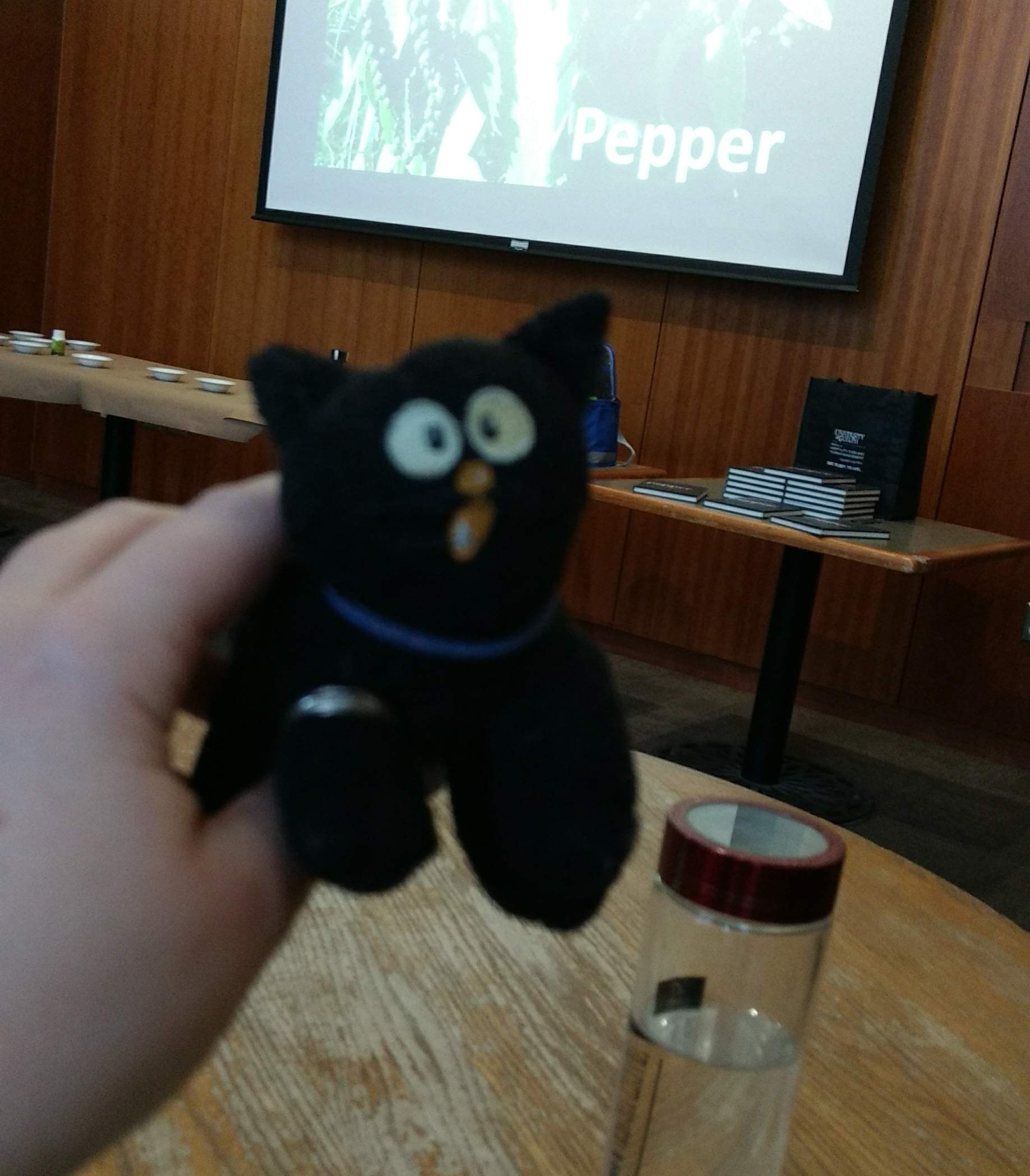 img_20200204_170441288