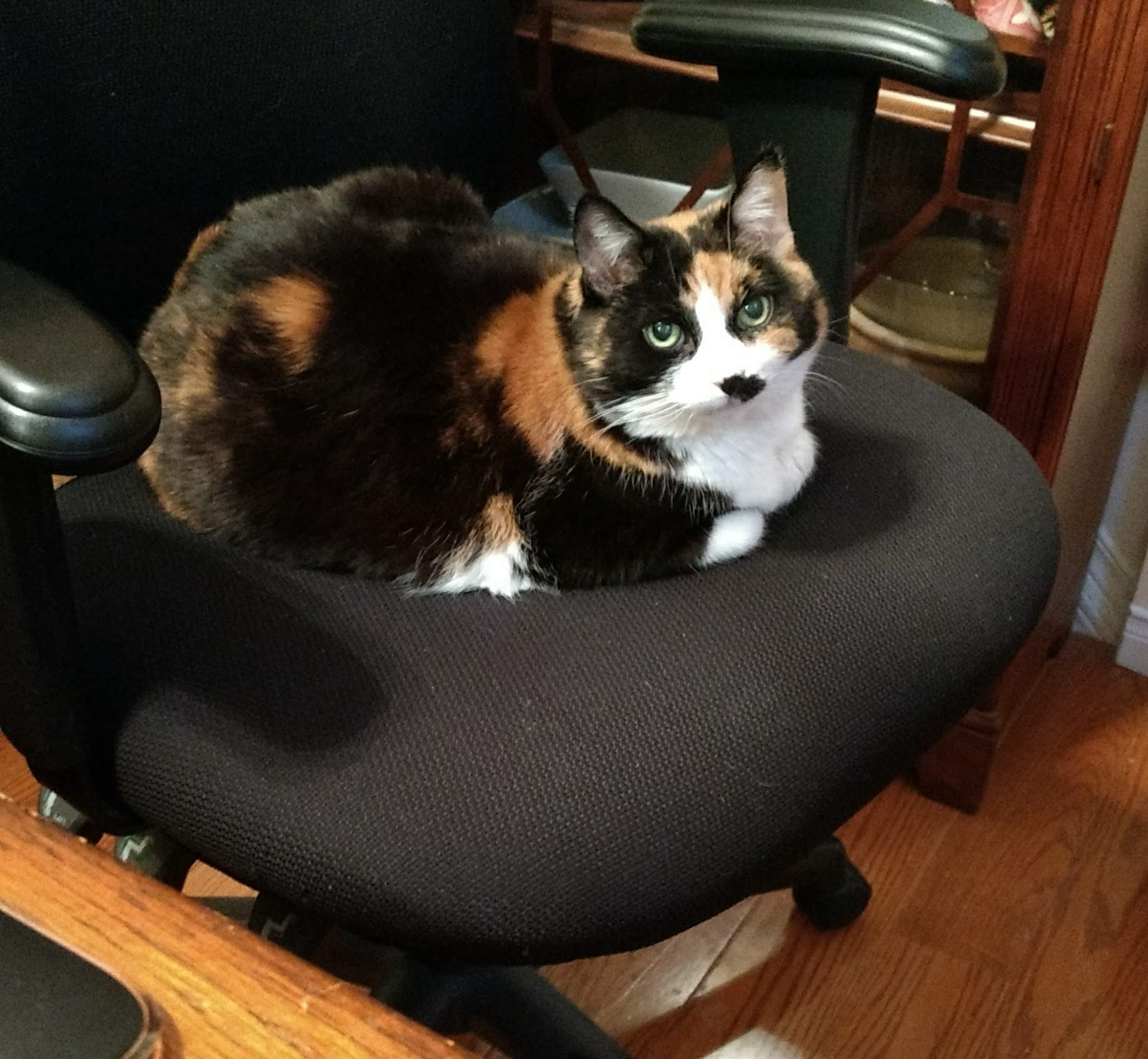 img_20200320_072924163