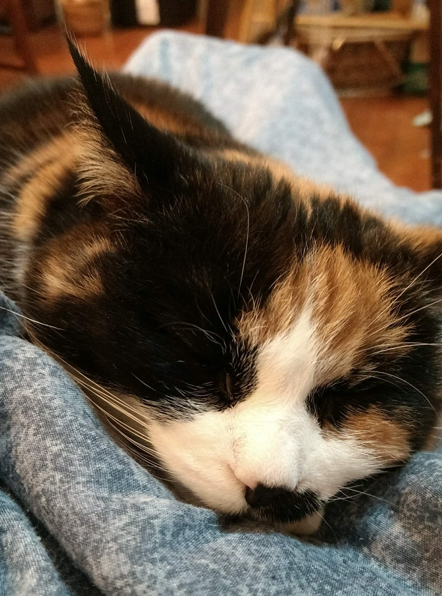 img_20200320_182145478