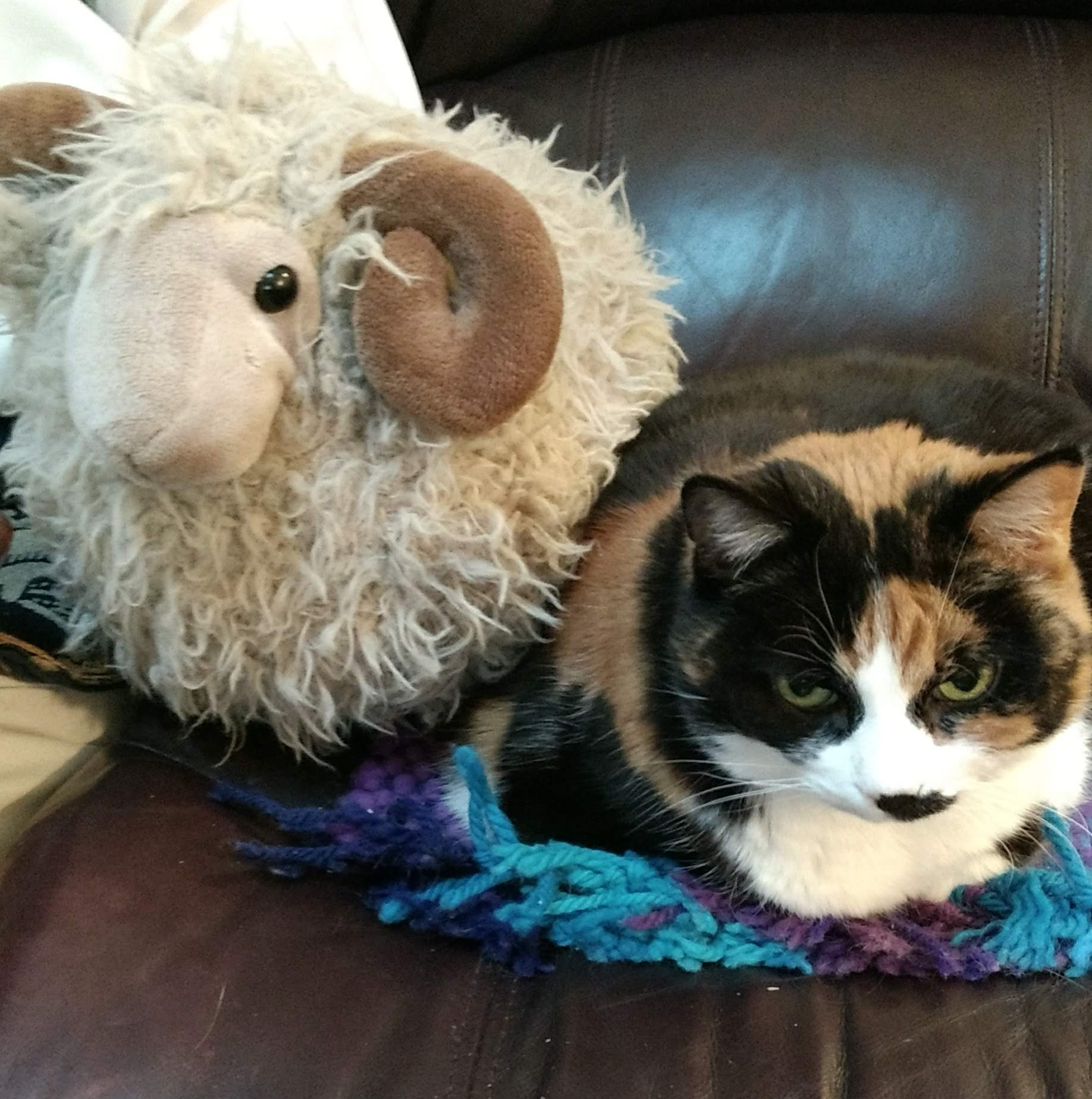 img_20200425_194922936