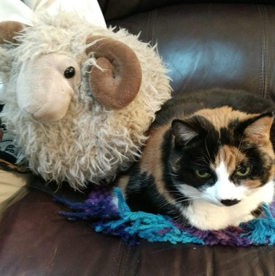 img_20200425_194922936